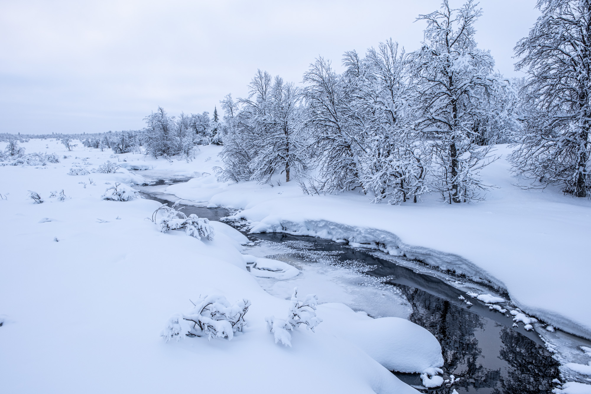 2024 01 04  xt 5   7480